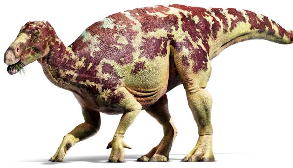 iguanodon mattel