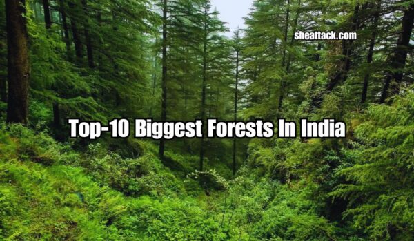 Biggest Forests In India