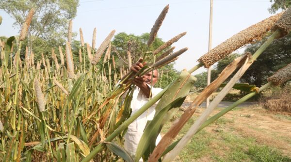 Major Millets Producing States in India