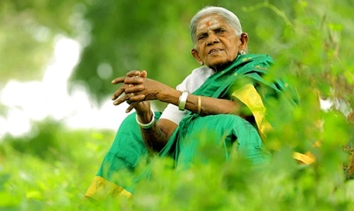 Saalumarada Thimmakka