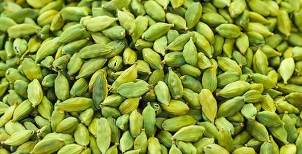 Cardamom