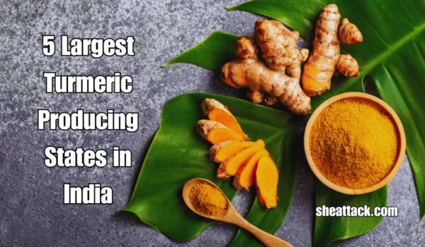 Largest Turmeric Producing States In India