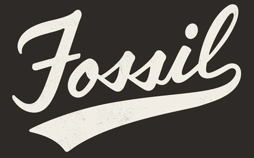 Fossil