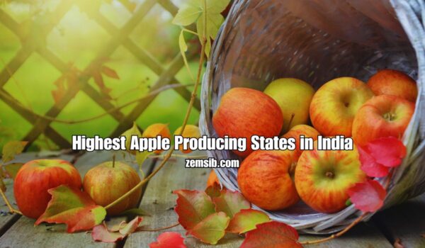 Highest Apple Producing States in India